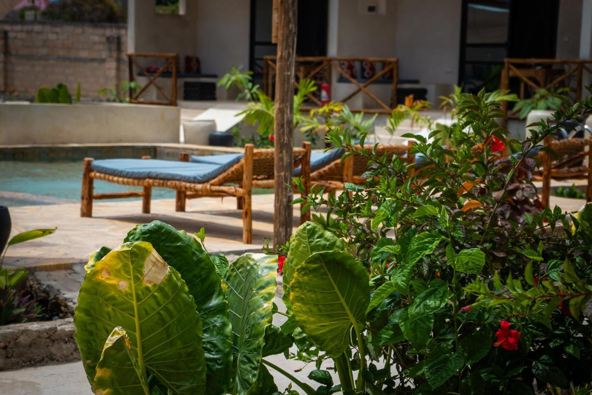 Blooming Zanzibar Hotel Джамбиани Екстериор снимка